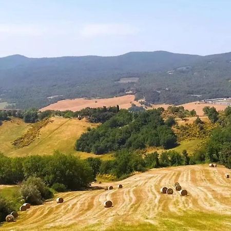 Casa Contadina In Borgo Medievale, Tuscany Monteguidi Kültér fotó