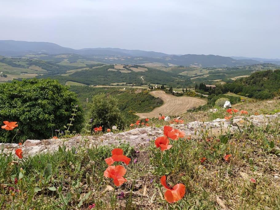 Casa Contadina In Borgo Medievale, Tuscany Monteguidi Kültér fotó