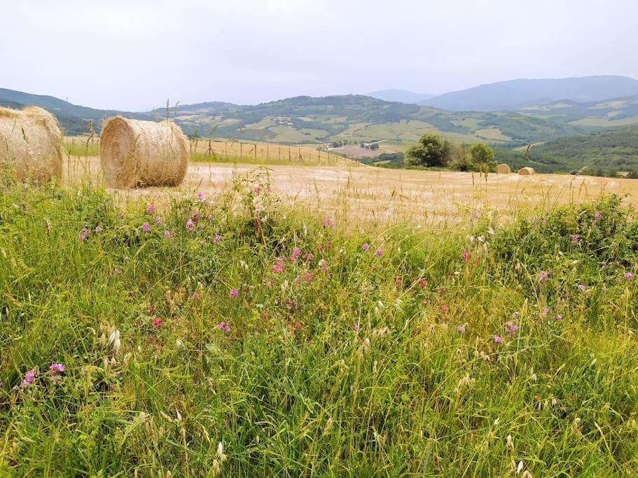 Casa Contadina In Borgo Medievale, Tuscany Monteguidi Kültér fotó